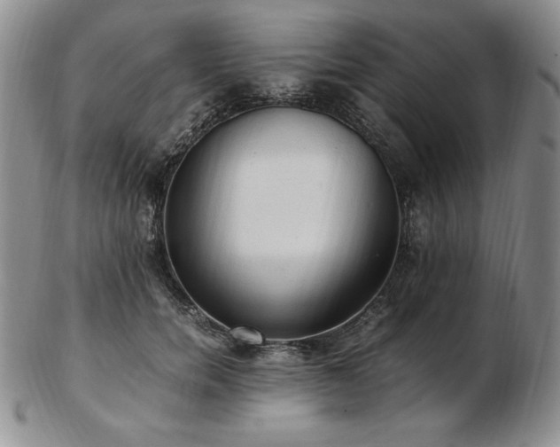 X0000103130750200808221154