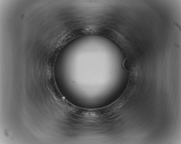 X0000103130751200808221154