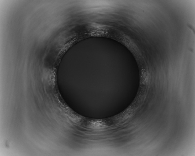 X0000103130753200808221154