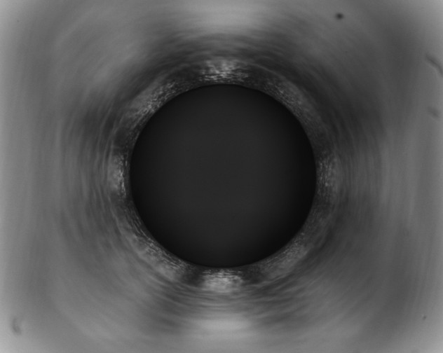 X0000103130754200808221154