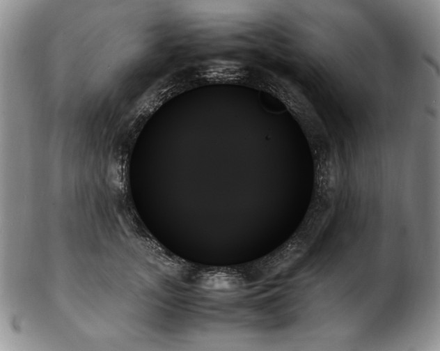 X0000103130755200808221154