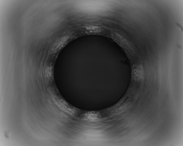 X0000103130756200808221154