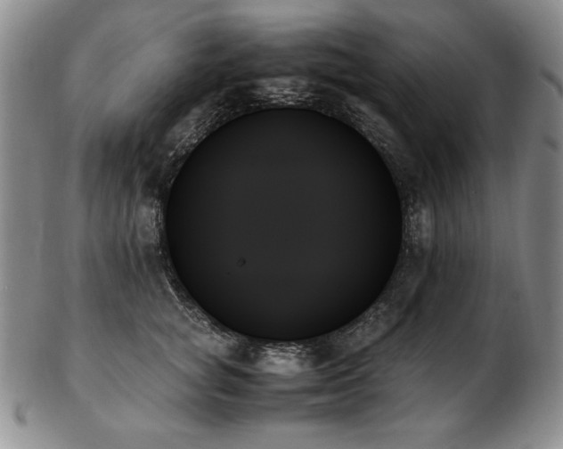 X0000103130757200808221154