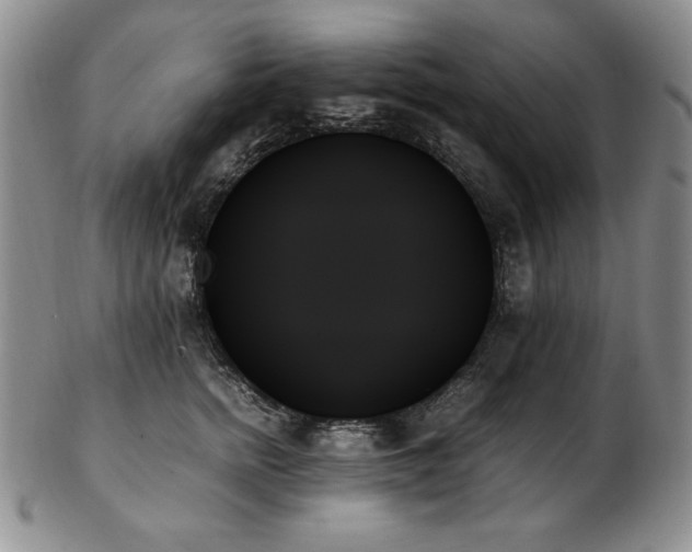 X0000103130758200808221154