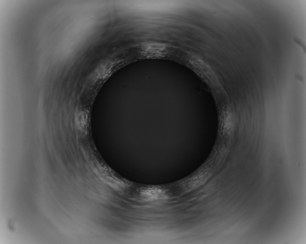 X0000103130759200808221154