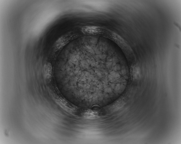 X0000103130760200808221154