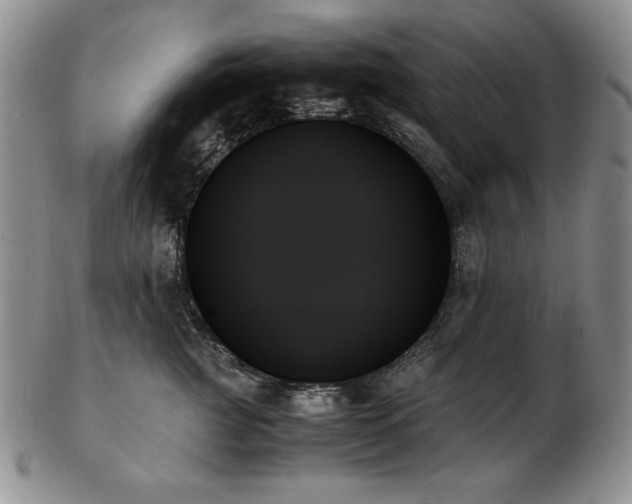 X0000103130761200808221154