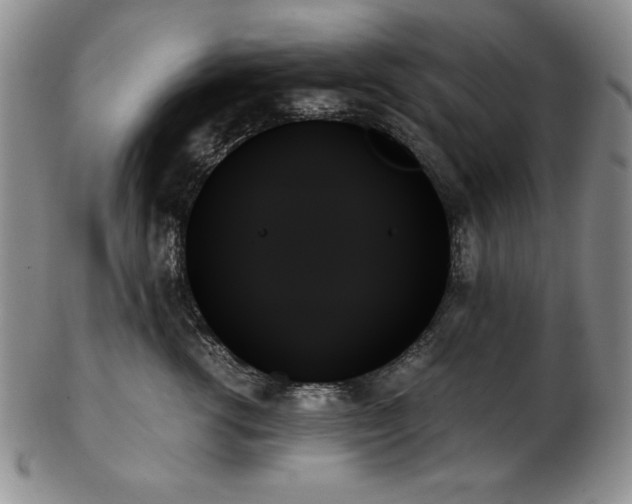 X0000103130762200808221154