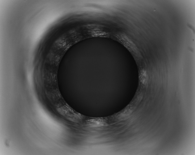 X0000103130763200808221154