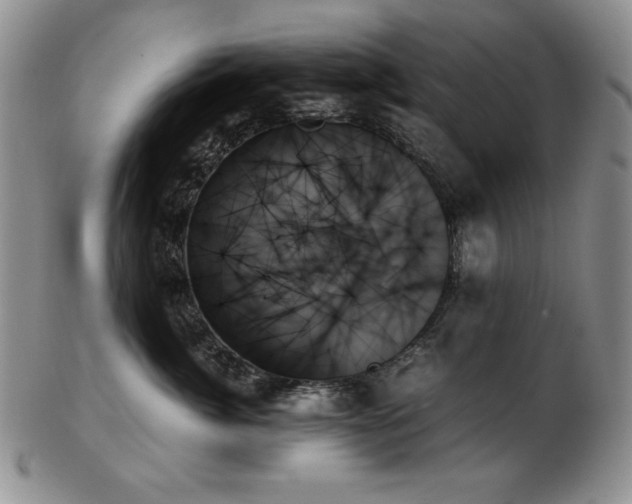X0000103130764200808221154