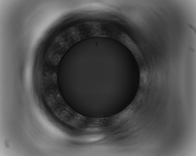 X0000103130765200808221154