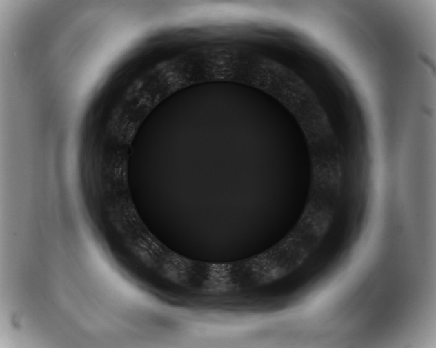 X0000103130766200808221154