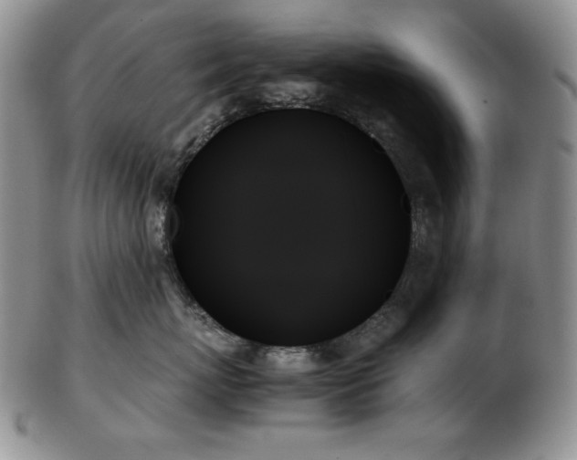 X0000103130767200808221154