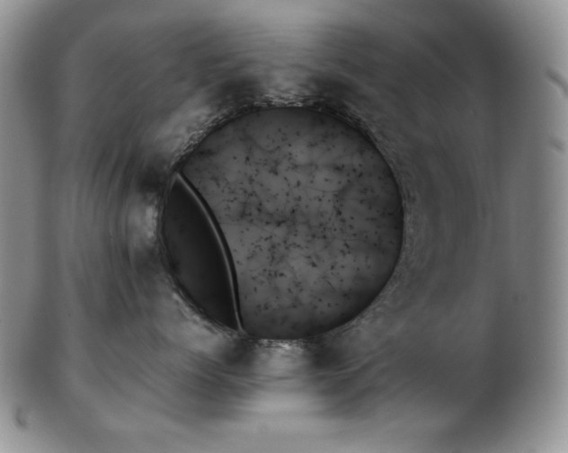 X0000103130768200808221154