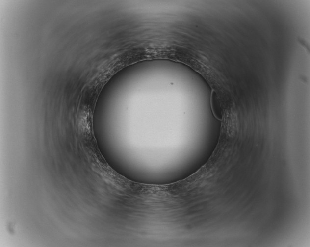 X0000103130770200808221153