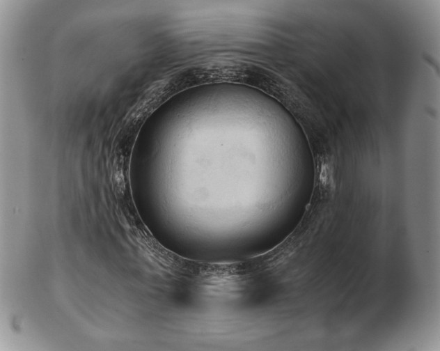 X0000103130771200808221153