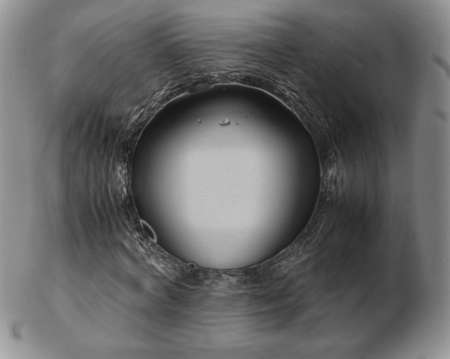 X0000103130772200808221153