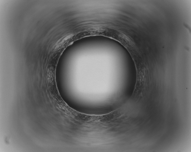 X0000103130773200808221153