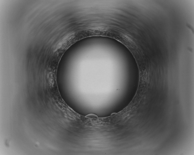 X0000103130774200808221153