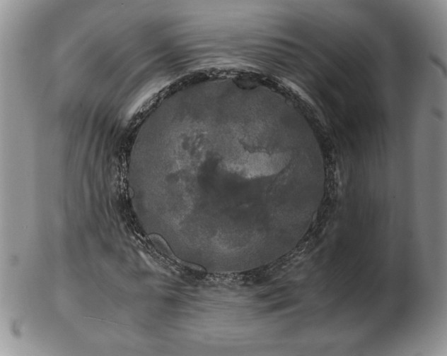 X0000103130775200808221153