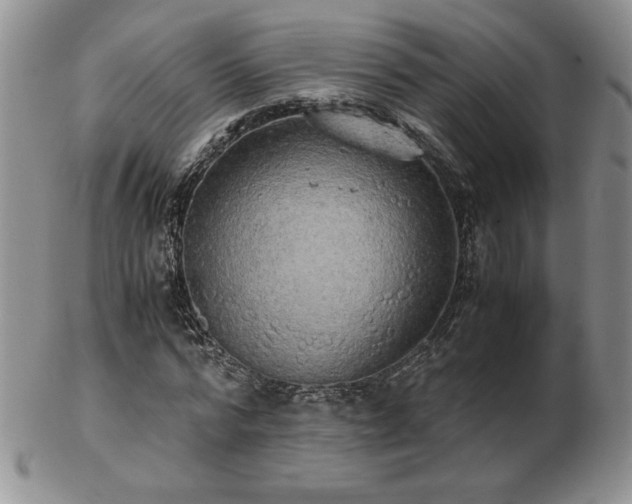 X0000103130776200808221153