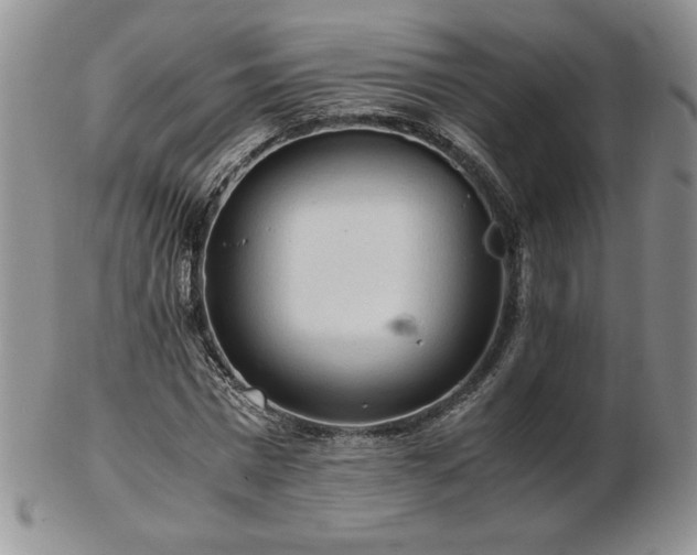 X0000103130777200808221153