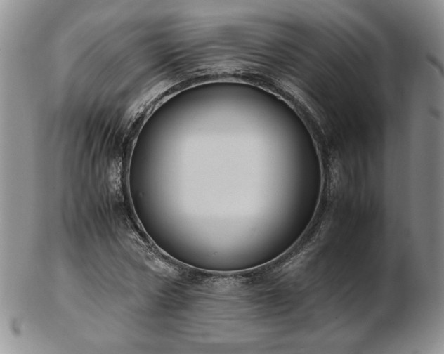 X0000103130778200808221153