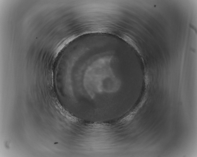 X0000103130781200808221153