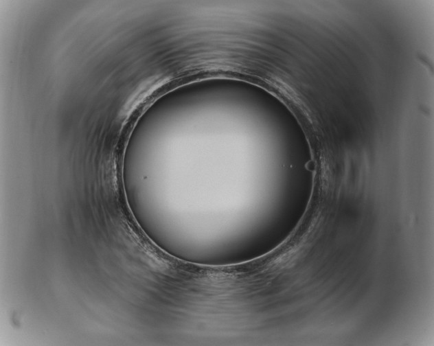 X0000103130782200808221153