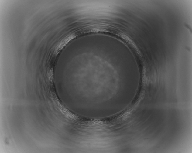 X0000103130785200808221153