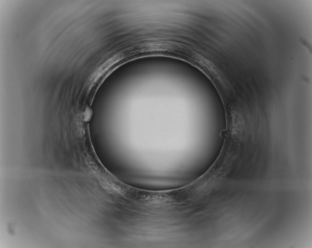 X0000103130786200808221153