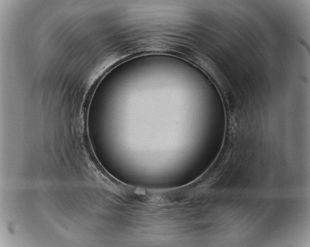 X0000103130787200808221153