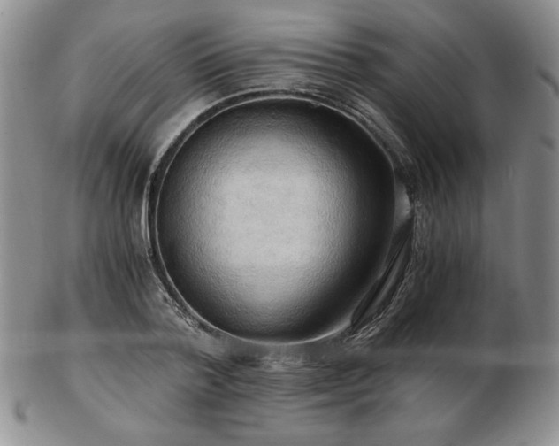 X0000103130788200808221153