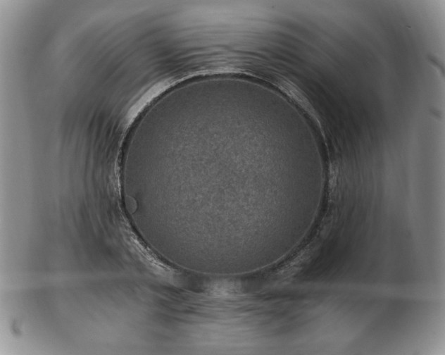 X0000103130789200808221153
