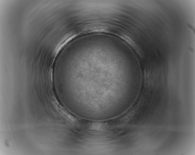 X0000103130790200808221153