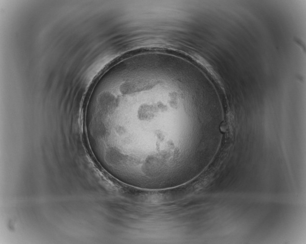 X0000103130791200808221153
