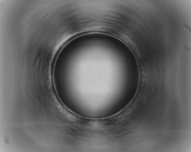 X0000103130792200808221153