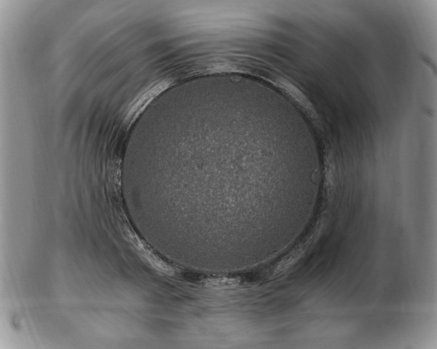 X0000103130793200808221153