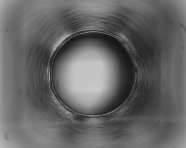 X0000103130796200808221153
