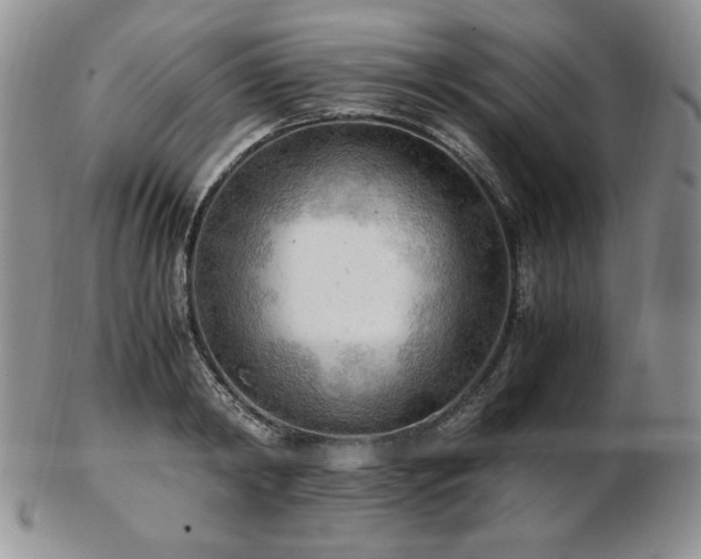 X0000103130798200808221153