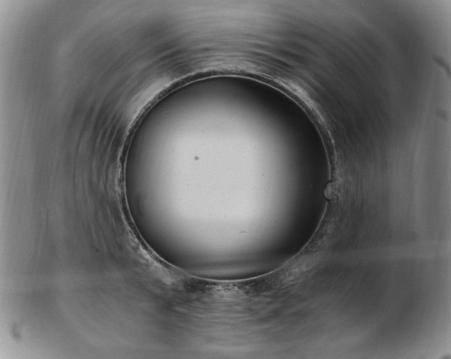 X0000103130799200808221153