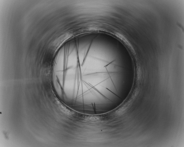 X0000103130801200808221153