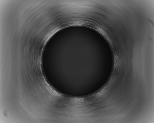 X0000103130802200808221153