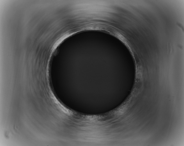 X0000103130803200808221153