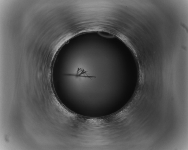 X0000103130805200808221153