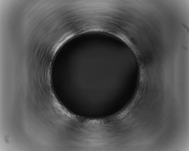 X0000103130806200808221153