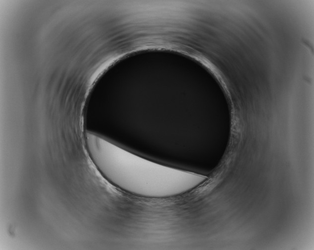 X0000103130807200808221152