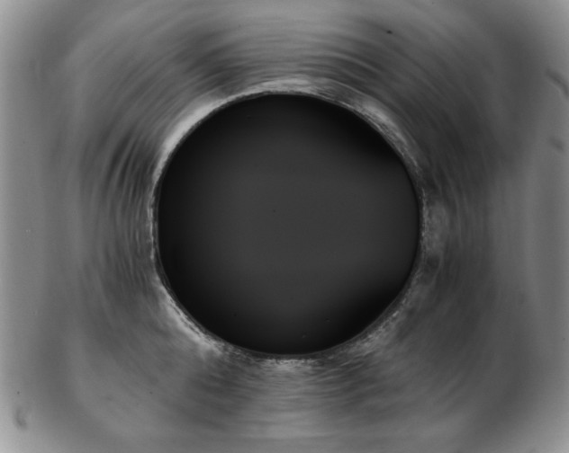 X0000103130808200808221152