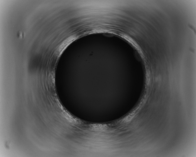 X0000103130809200808221152