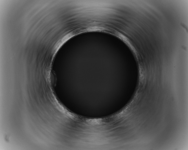 X0000103130810200808221152